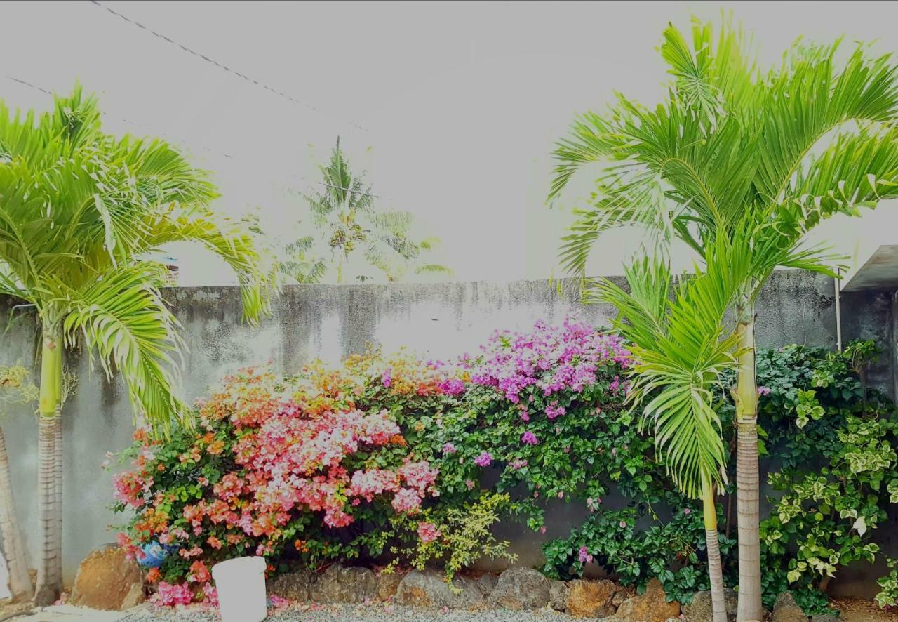 Bluebay Appartments Blue Bay Luaran gambar